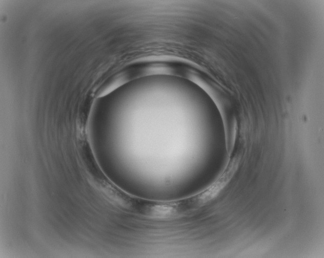 X0000080120176200612081301