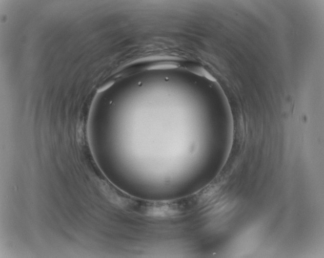 X0000080120177200612081301