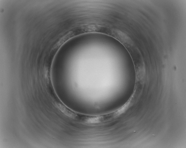X0000080120178200612081301