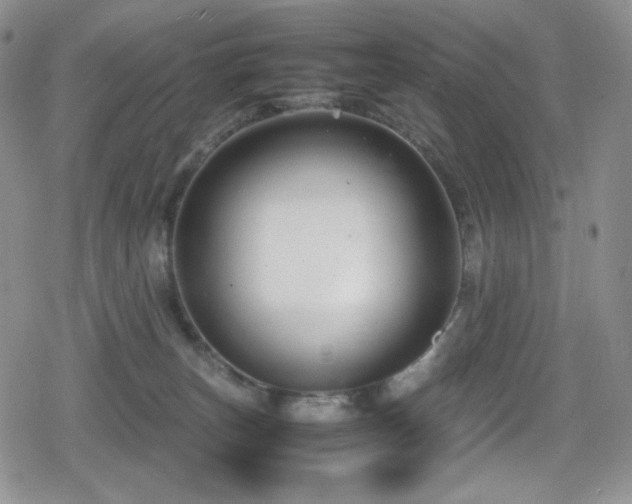 X0000080120179200612081301
