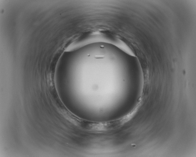 X0000080120182200612081301