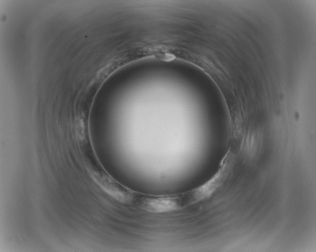 X0000080120183200612081301