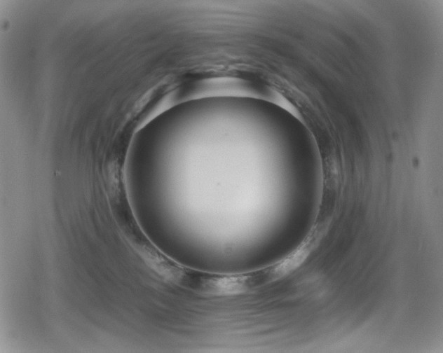 X0000080120184200612081301