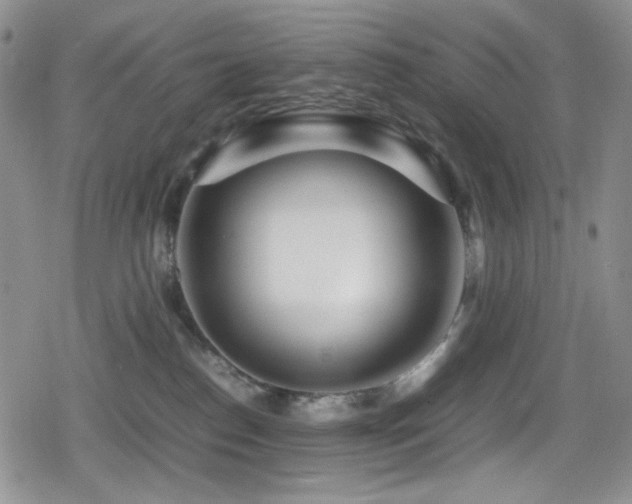 X0000080120186200612081301
