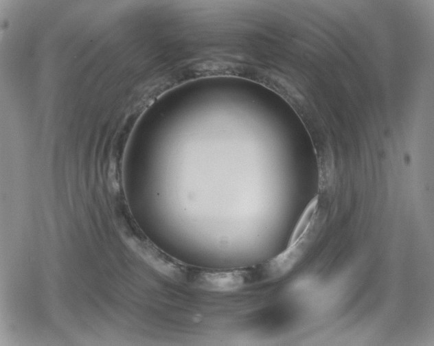 X0000080120187200612081301