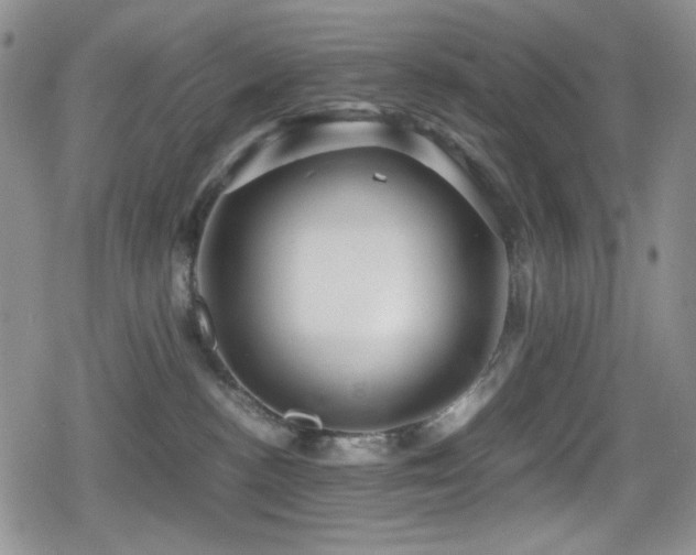 X0000080120188200612081301