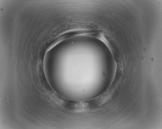 X0000080120225200612081300