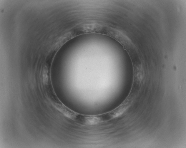 X0000080120226200612081300
