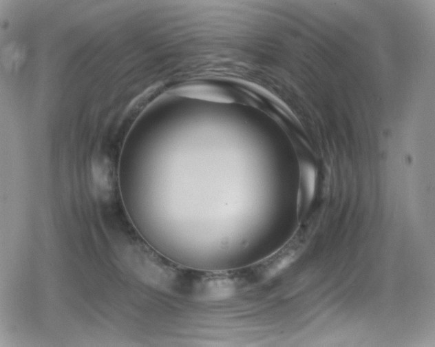 X0000080120228200612081300