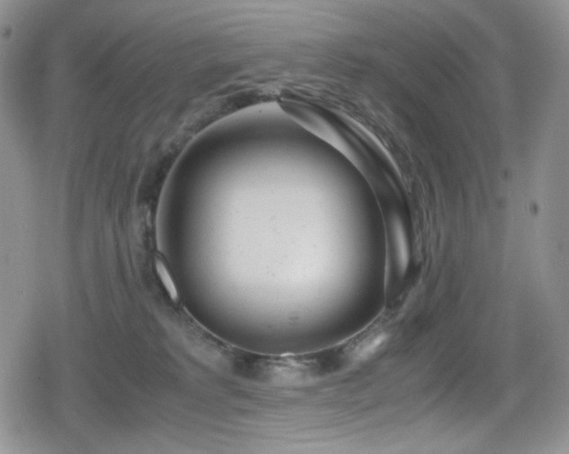 X0000080120229200612081300