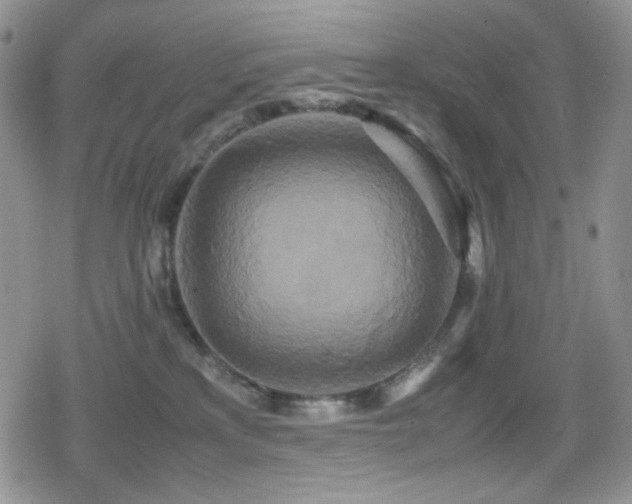 X0000080120233200612081300