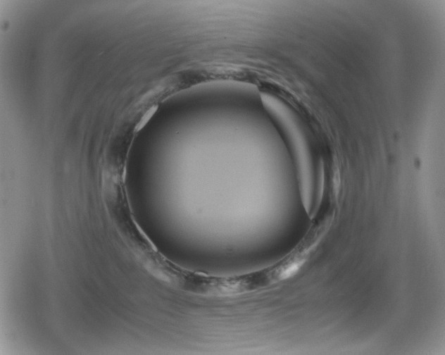 X0000080120235200612081300