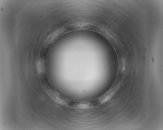 X0000080120236200612081300