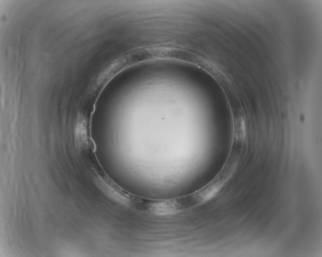 X0000080120238200612081300