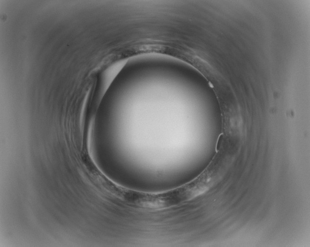 X0000080120263200612081259