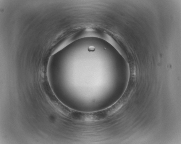 X0000080120264200612081259