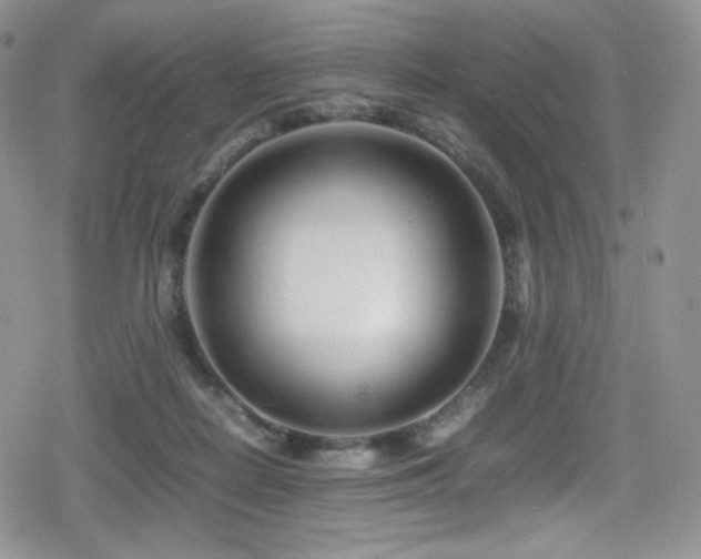 X0000080120266200612081259