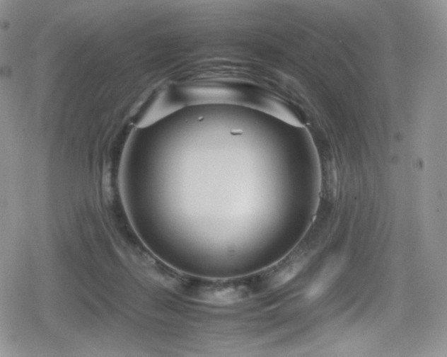 X0000080120267200612081259