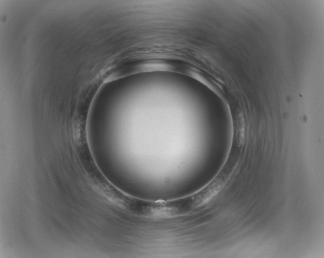 X0000080120268200612081259