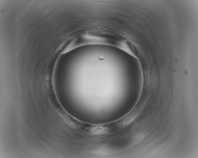 X0000080120269200612081259