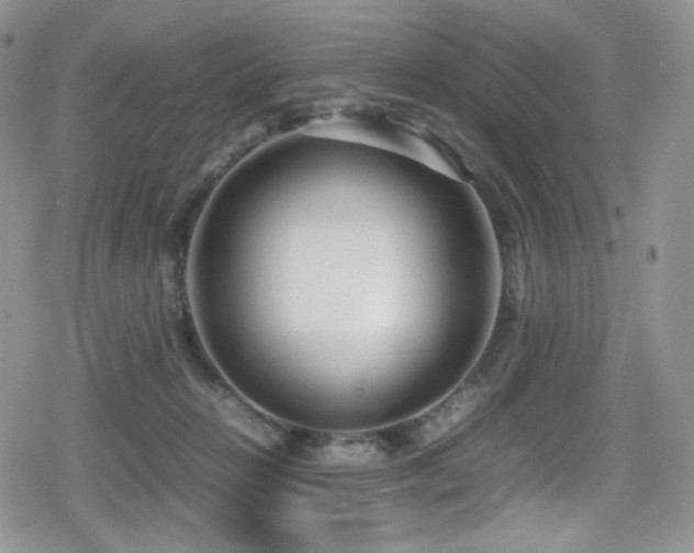 X0000080120270200612081259