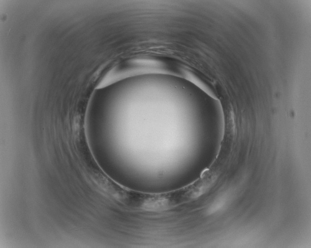 X0000080120271200612081259