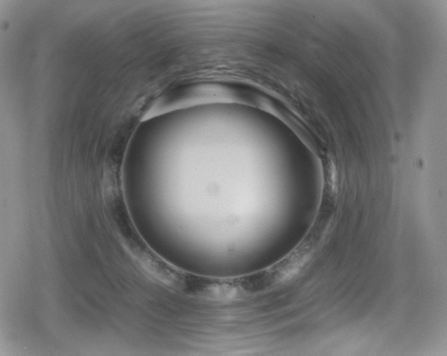 X0000080120272200612081259