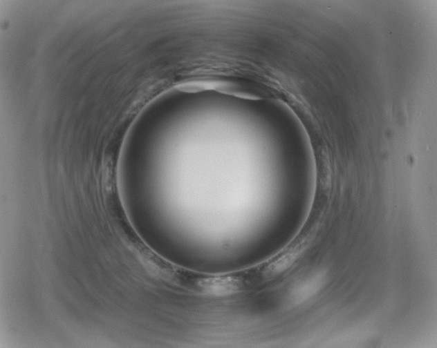 X0000080120273200612081259