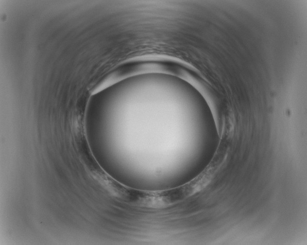 X0000080120276200612081259