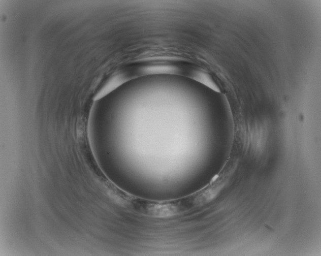 X0000080120277200612081259