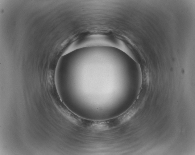 X0000080120280200612081259