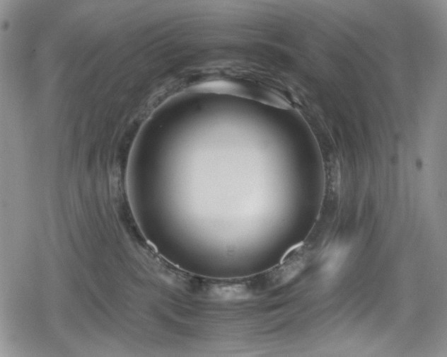 X0000080120283200612081259