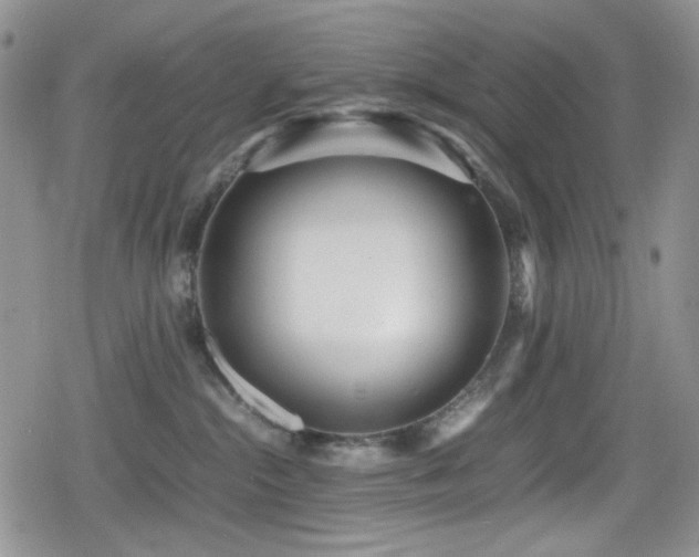 X0000080120284200612081259