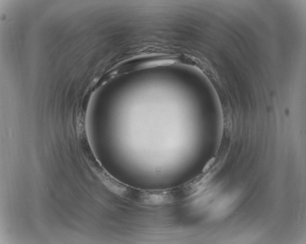 X0000080120285200612081300