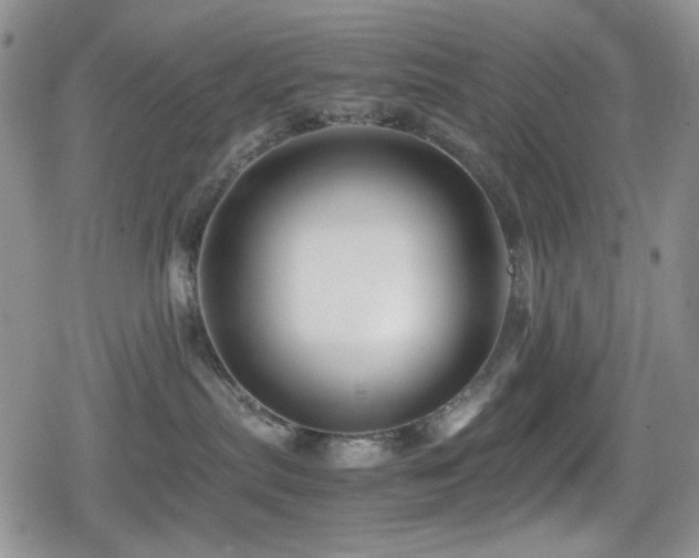 X0000080120287200612081300