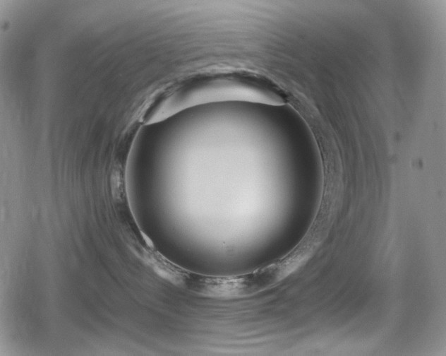 X0000080120288200612081300