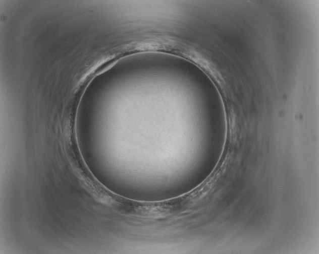 X0000080120297200612081259