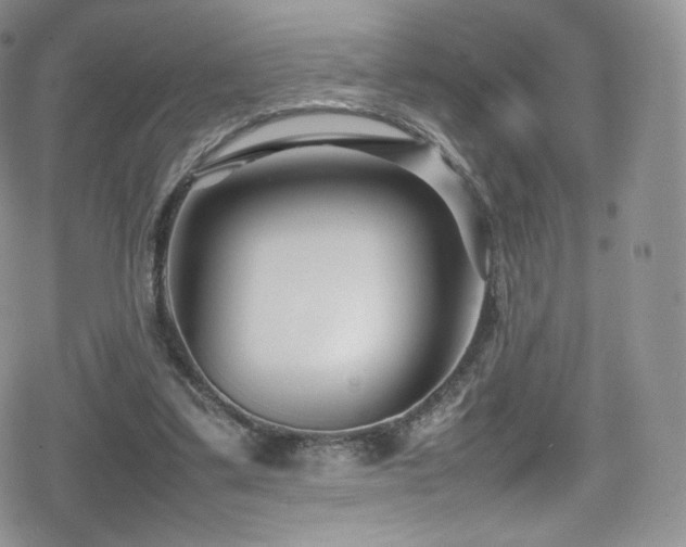X0000080120299200612081259