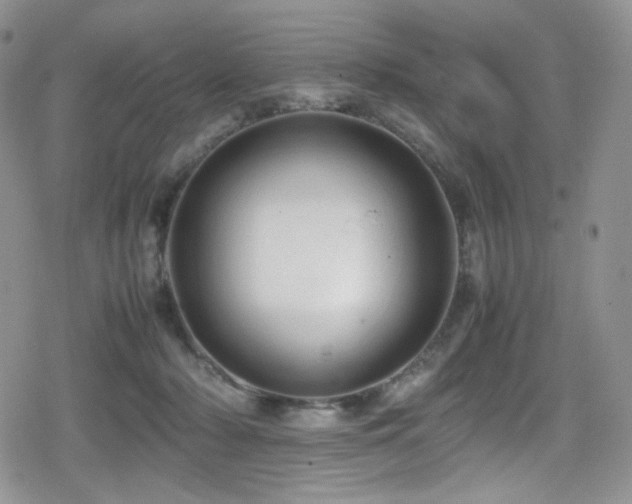 X0000080120318200612081258