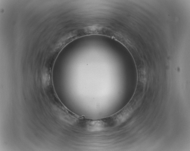X0000080120324200612081258
