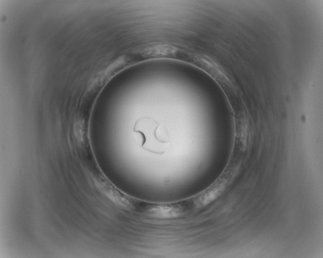 X0000080120326200612081258