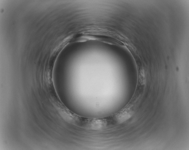 X0000080120330200612081258