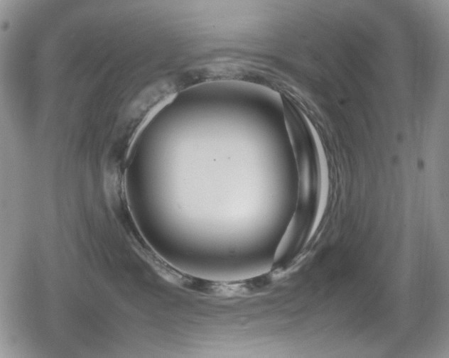 X0000080120333200612081258