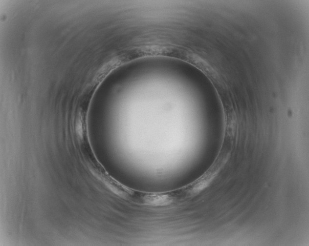 X0000080120334200612081258