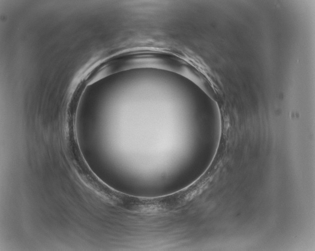 X0000080120344200612081257