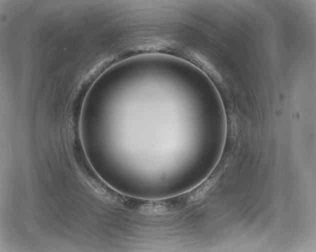 X0000080120354200612081258