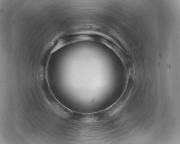 X0000080120356200612081258