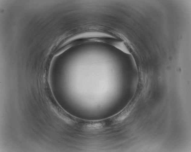 X0000080120357200612081258