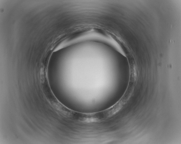 X0000080120360200612081258