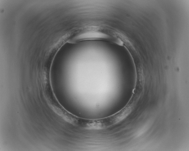 X0000080120362200612081258